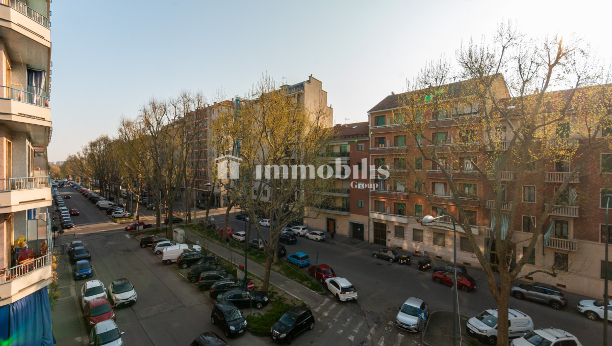 _MG_0317