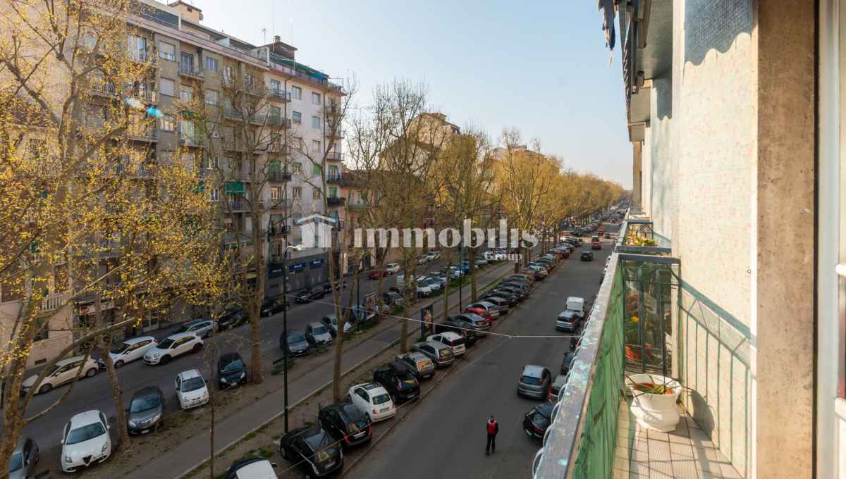_MG_0319