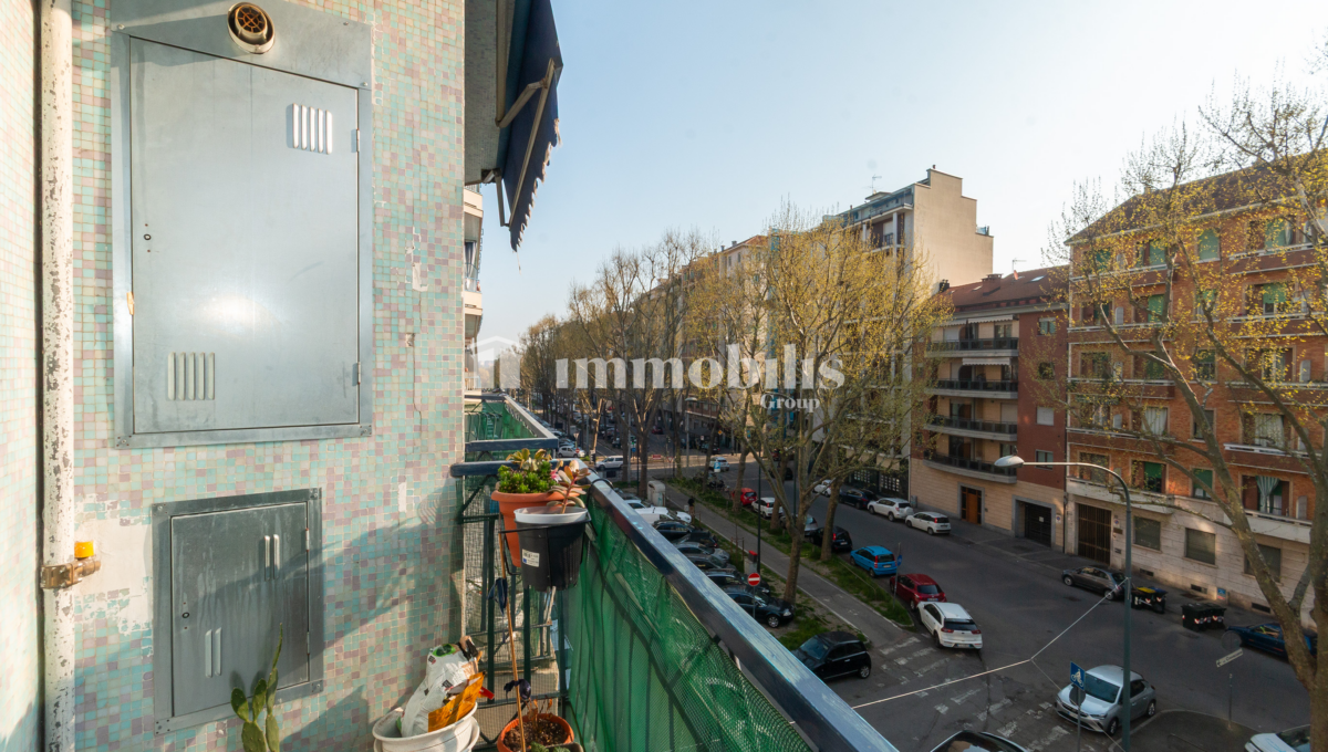 _MG_0354