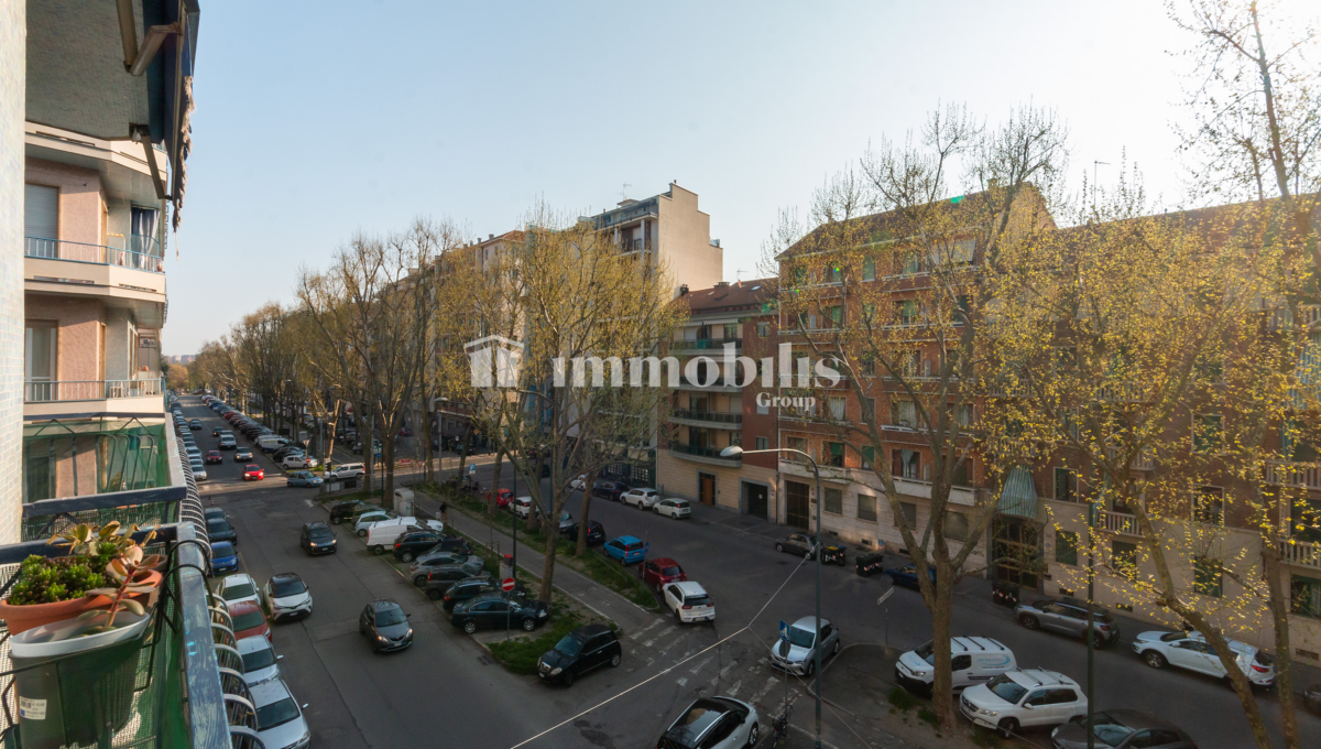 _MG_0356
