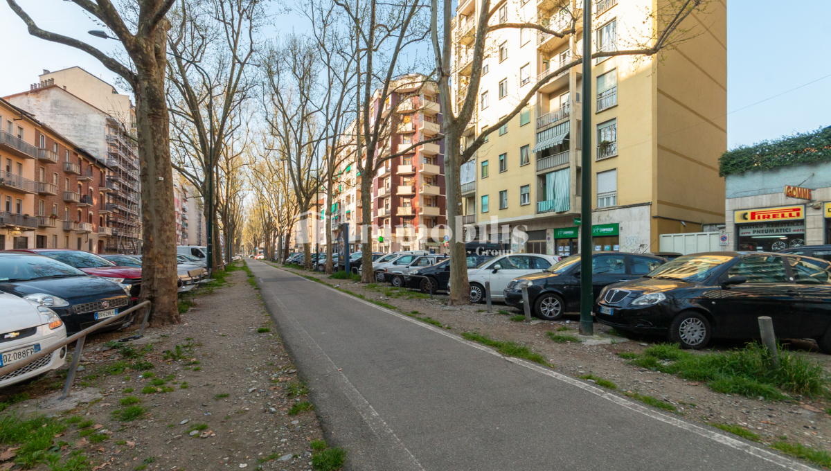 _MG_0361