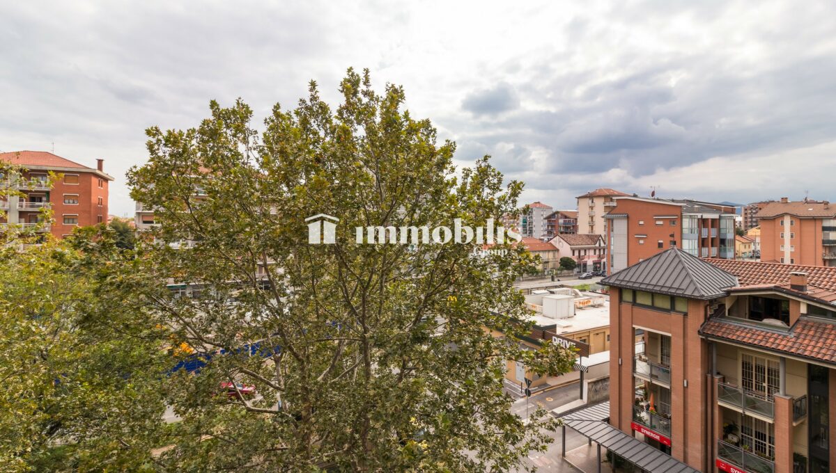 _MG_7956 copia