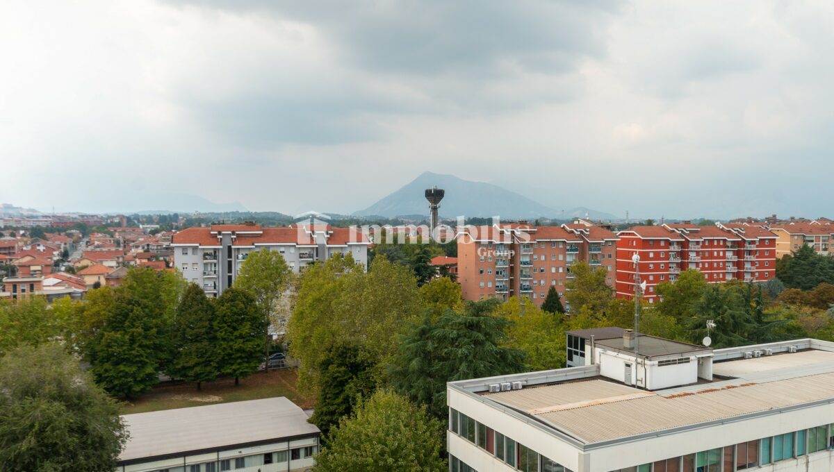_MG_0037